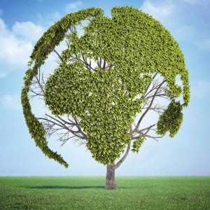 normes ecologique fabrication escaliers